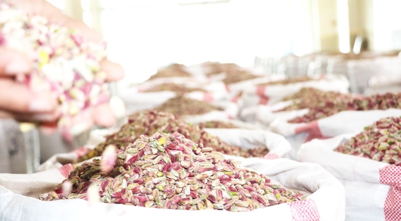 Türkiye’ye 2 yıl yetecek kadar fıstık stoku