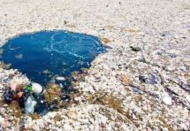 Türkiye'yi Avrupa'nın çöplüğü haline getirdiler