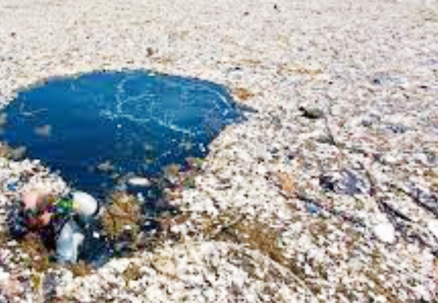 Türkiye'yi Avrupa'nın çöplüğü haline getirdiler