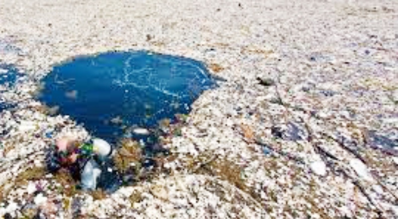 Türkiye'yi Avrupa'nın çöplüğü haline getirdiler