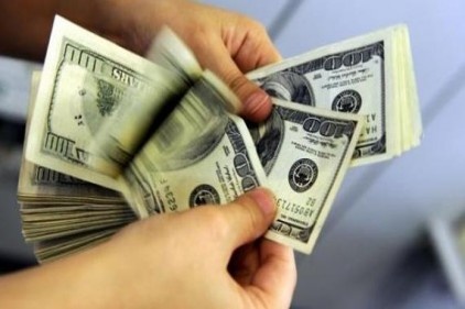 Türkler 20 milyar dolar döviz aldı