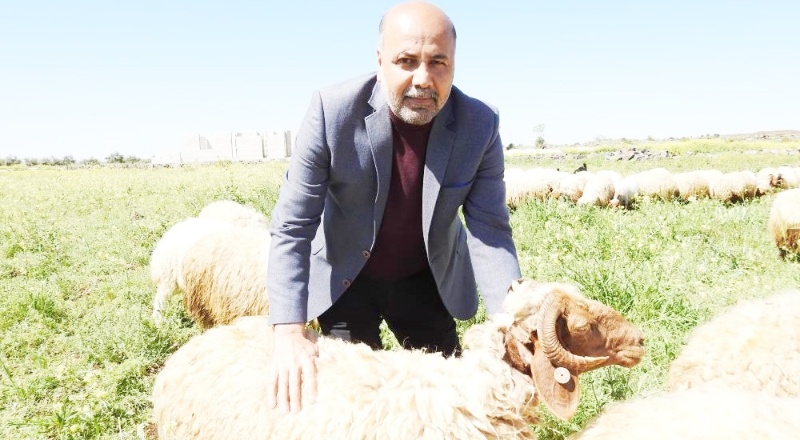 Türkman: “30 kiloluk bir hayvan kurban olur mu?”