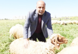 Türkman: “30 kiloluk bir hayvan kurban olur mu?”