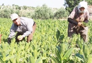 TÜSİAD Başekonomisti: Enflasyon kendi kendine düşmez, birinci öncelik döviz değil, enflasyon olmalı