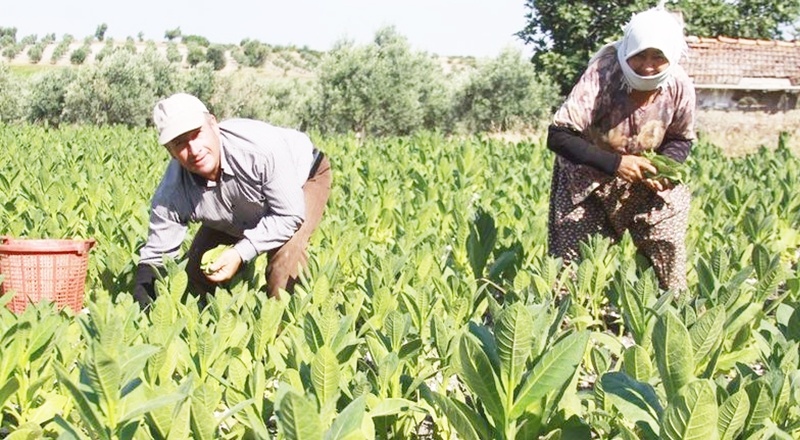 TÜSİAD Başekonomisti: Enflasyon kendi kendine düşmez, birinci öncelik döviz değil, enflasyon olmalı