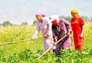 TZOB Genel Başkanı Bayraktar: “Tarımda çalışan kadınların yüzde 95’i sosyal güvenlik sistemine kayıtlı değil”
