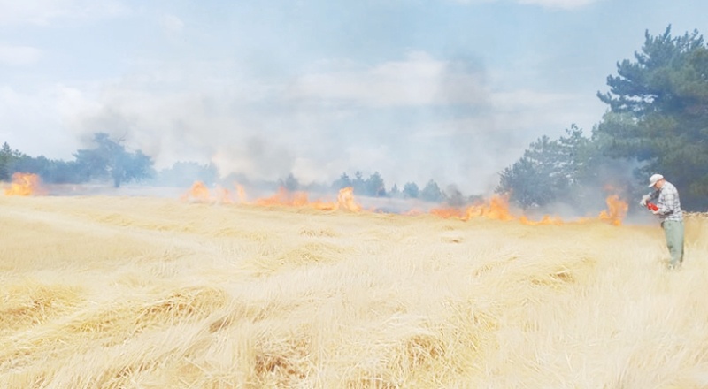 TZOB, orman yangınlarından zarar gören çiftçiler için yardım kampanyası başlattı