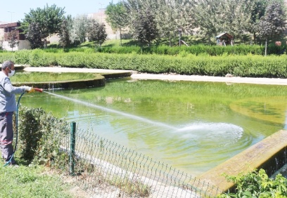 “Üç Gün Hastalığı” için çalışmalar başladı