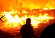 Üç kişiden biri orman yangınların bilinçli olarak söndürülmediğine inanıyor