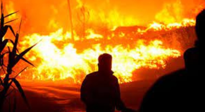 Üç kişiden biri orman yangınların bilinçli olarak söndürülmediğine inanıyor