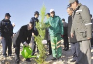 Ücretsiz fidan dağıtılıyor 