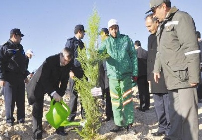 Ücretsiz fidan dağıtılıyor 