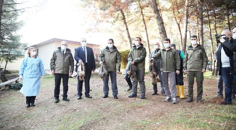 Ülke genelinde her yıl 4 bin hayvanı tedavi ediyoruz