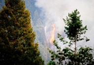 Ülke genelindeki 6 orman yangını kontrol altına alındı