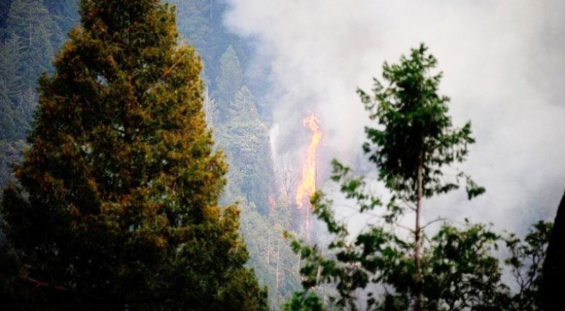 Ülke genelindeki 6 orman yangını kontrol altına alındı