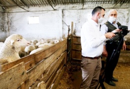 Ülkede besiciliği bitirmek istiyorlar