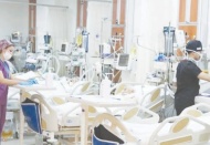 'Ülkemizde her gün virüsten bir uçak dolusu insan ölüyor'