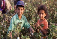 “Ülkemizde ortalamanın üzerinde çocuk işçi çalışıyor”