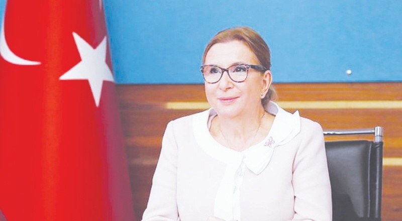 Ülkenin ticaret bakanı kocasının şirketinden bakanlığına dezenfektan alımı yapıyorsa bunun hukuki sonuçları olmak durumunda