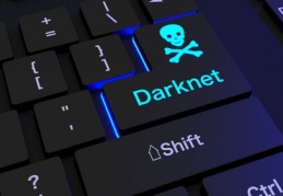 Uluslararası polis güçleri siber suçlulara göz açtırmıyor