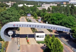 Üniversite, çevre düzenlemesi için onlarca fıstık ve çam ağacı kesiyor