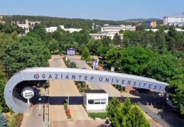 Üniversite, çevre düzenlemesi için onlarca fıstık ve çam ağacı kesiyor