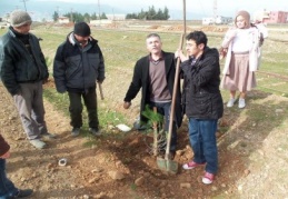 Üniversite öğrencileri ağaç dikti