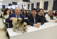 Üniversite öğrencileri uygulamalı olarak hayvan hukuku dersi alacak