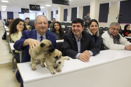 Üniversite öğrencileri uygulamalı olarak hayvan hukuku dersi alacak