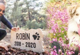 Üniversite öğrencisi ölen köpeğine kampüste mezar yaptı