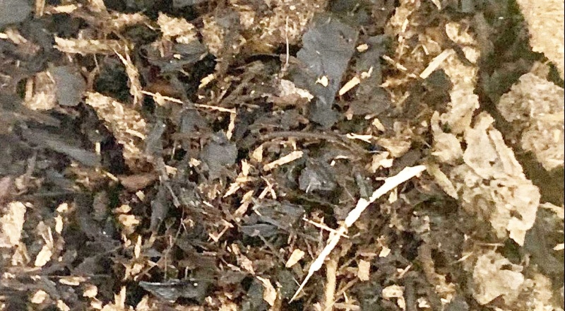 Ünlü çay firmasından sahte ürün uyarısı