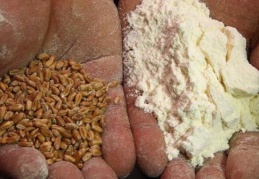 Unun çuvalı 400 TL'ye çıkacak