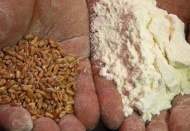 Unun çuvalı 400 TL'ye çıkacak