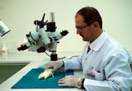 Unutkanlığa karşı protein 