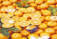 Üretici, market farkı mandalina ve maydanozda 6,4 kata ulaştı