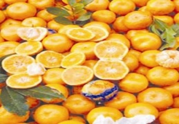 Üretici, market farkı mandalina ve maydanozda 6,4 kata ulaştı