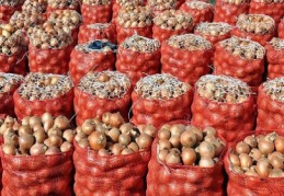 Üretici-market fiyat farkı en fazla kuru soğanda