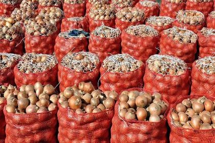 Üretici-market fiyat farkı en fazla kuru soğanda
