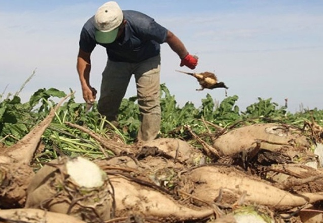 Üreticiler acil önlem talep ediyor