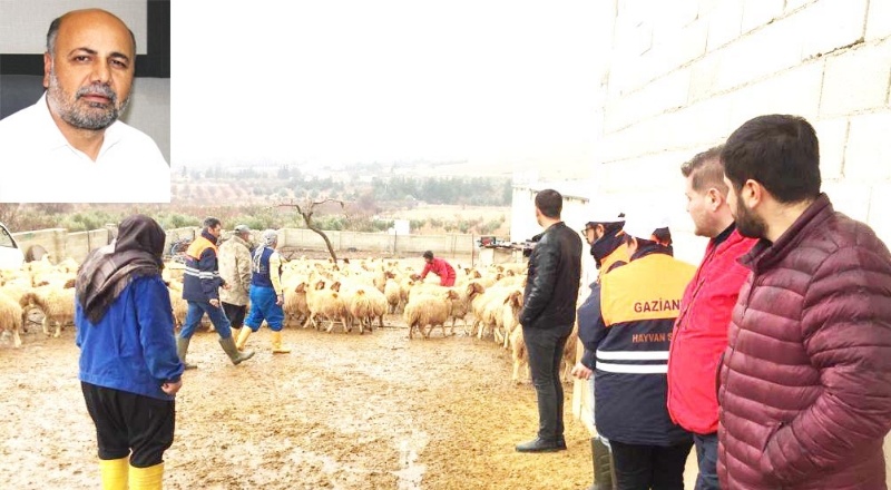 Üreticilerimiz, para almadan hayvanlarını teslim etmesinler