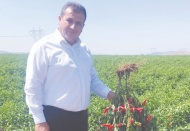 Üreticilerimiz ürününü düşük fiyata satarken, tüketici pahalıya tüketiyor