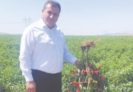 Üreticilerimiz ürününü düşük fiyata satarken, tüketici pahalıya tüketiyor