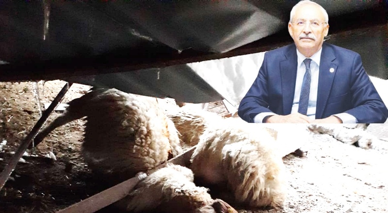 Üreticilerin zararı, acilen karşılanmalı