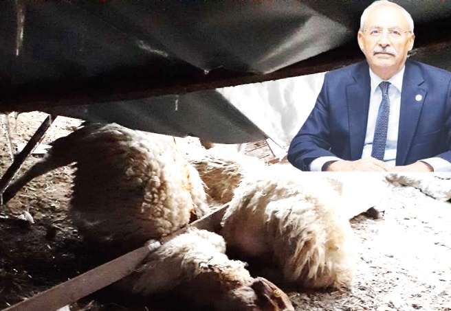 Üreticilerin zararı, acilen karşılanmalı