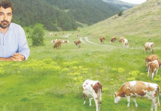 Üreticine sahip çık kurbanı üreticiden al