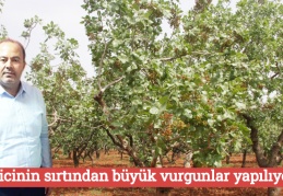 Üreticinin sırtından büyük vurgunlar yapılıyor