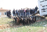 Üreticiye bedava keçi dağıtıldı