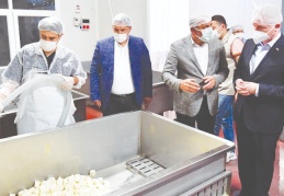 Üreticiye destek için 120 ton süt, peynir yapılarak dağıtılacak