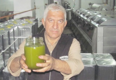 Üretilen zeytinyağında asit oranı yüzde 0,5-1