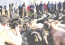 Üretim ve gelirin artması sağlanacak